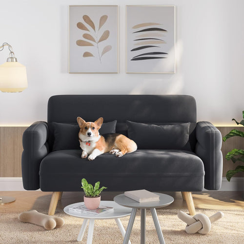 116Cm Fabric 2 Seater Loveseat Sofa with 2 Pillows, Dark Grey | Tapered Solid Wood Legs, Fabric Upholstery, Compact Size, 2 Matching Pillows, Ideal for Dorm, Office, Bedroom & Living Room