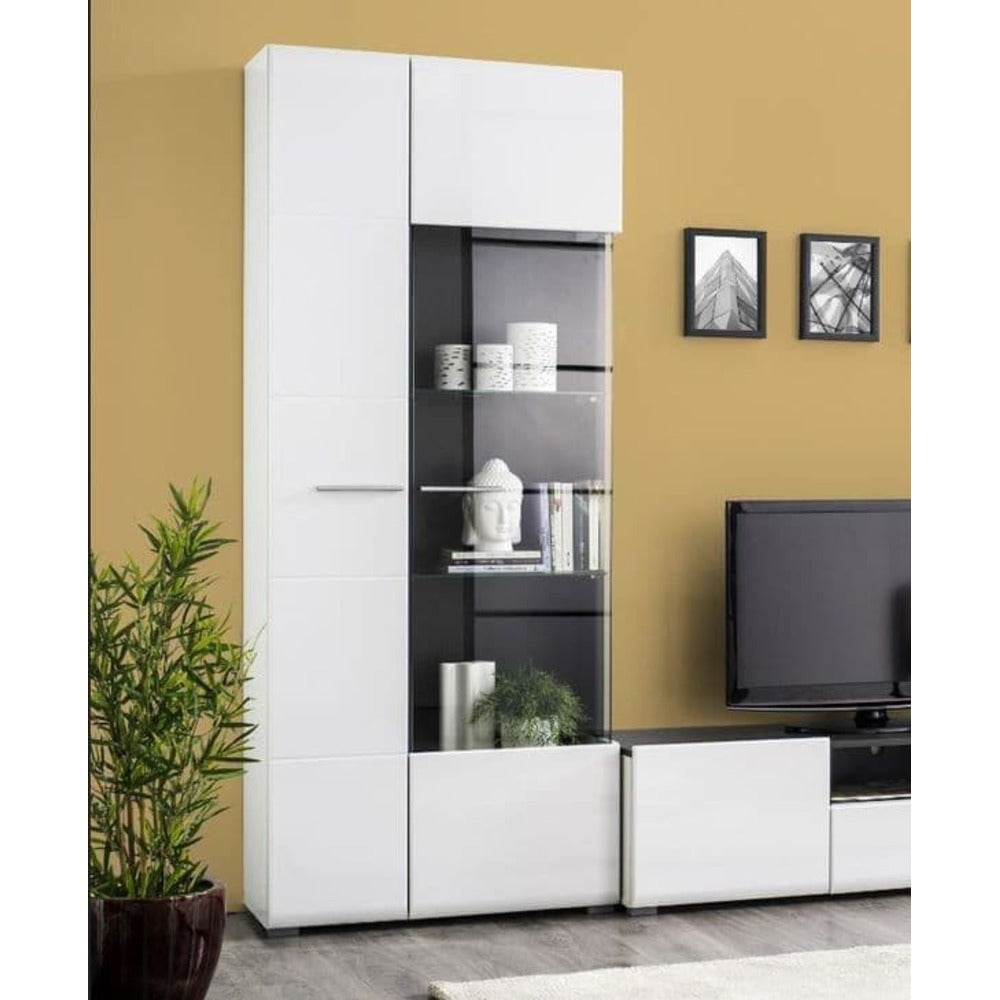 Modern Cabinet Display